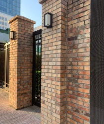 Gạch cổ xây không trát kt 230x114x65mm